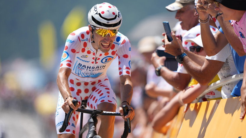 livmxvs's tweet photo. good luck to one of these French men today https://t.co/JkUWGg731t