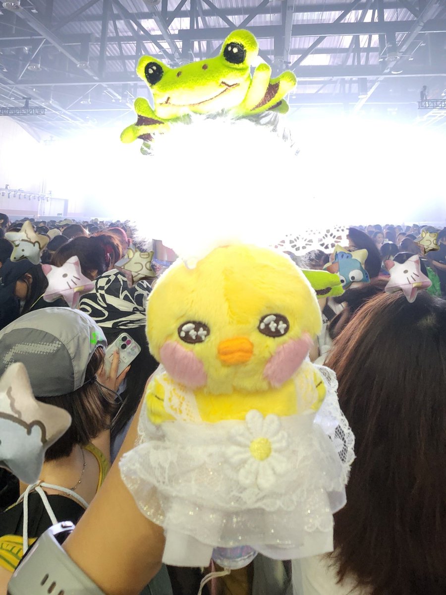 쓰리라차 tweet media