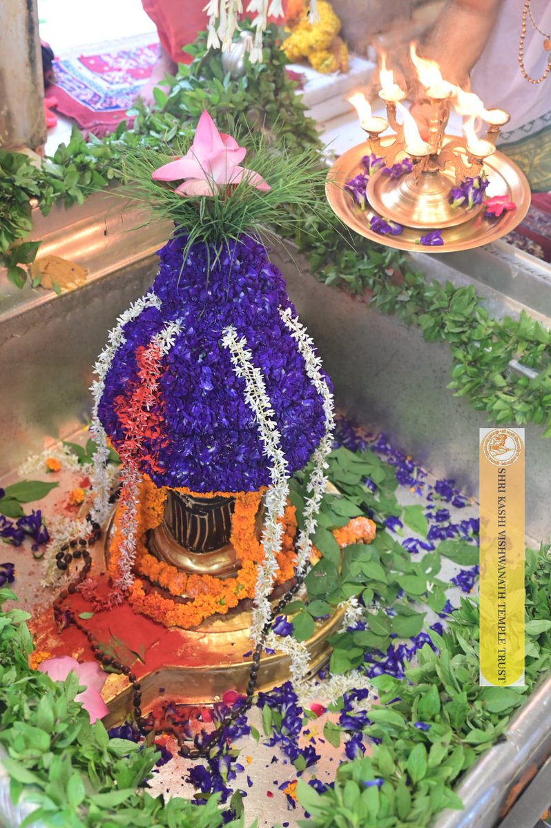 ShriVishwanath's tweet photo. श्री काशी विश्वनाथ जी की मध्यान्ह-भोग आरती I
#kashi #darshan #kashivishwanath #VishwanathDham #blessings https://t.co/OGUtyjvh4n