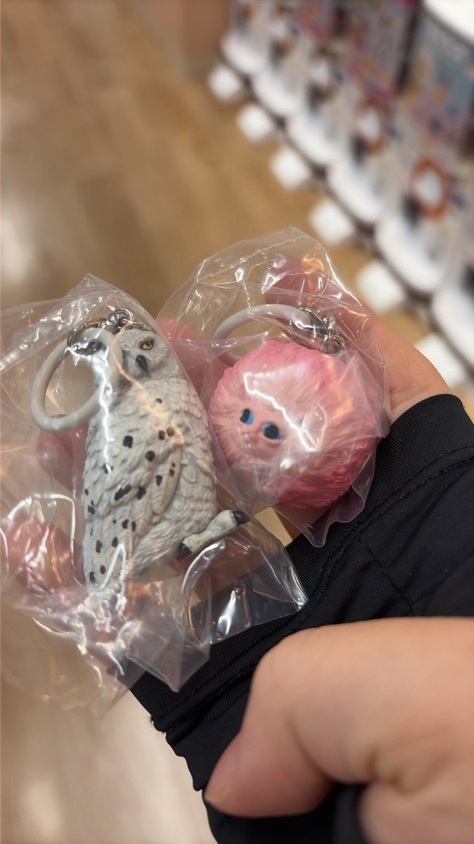 cokj08's tweet photo. @ntaktrhk ピグミーパフ、ヘドウィグを所持しております。二フラー、ピケットと交換可能でしょうか？ https://t.co/SHwRchp0ka