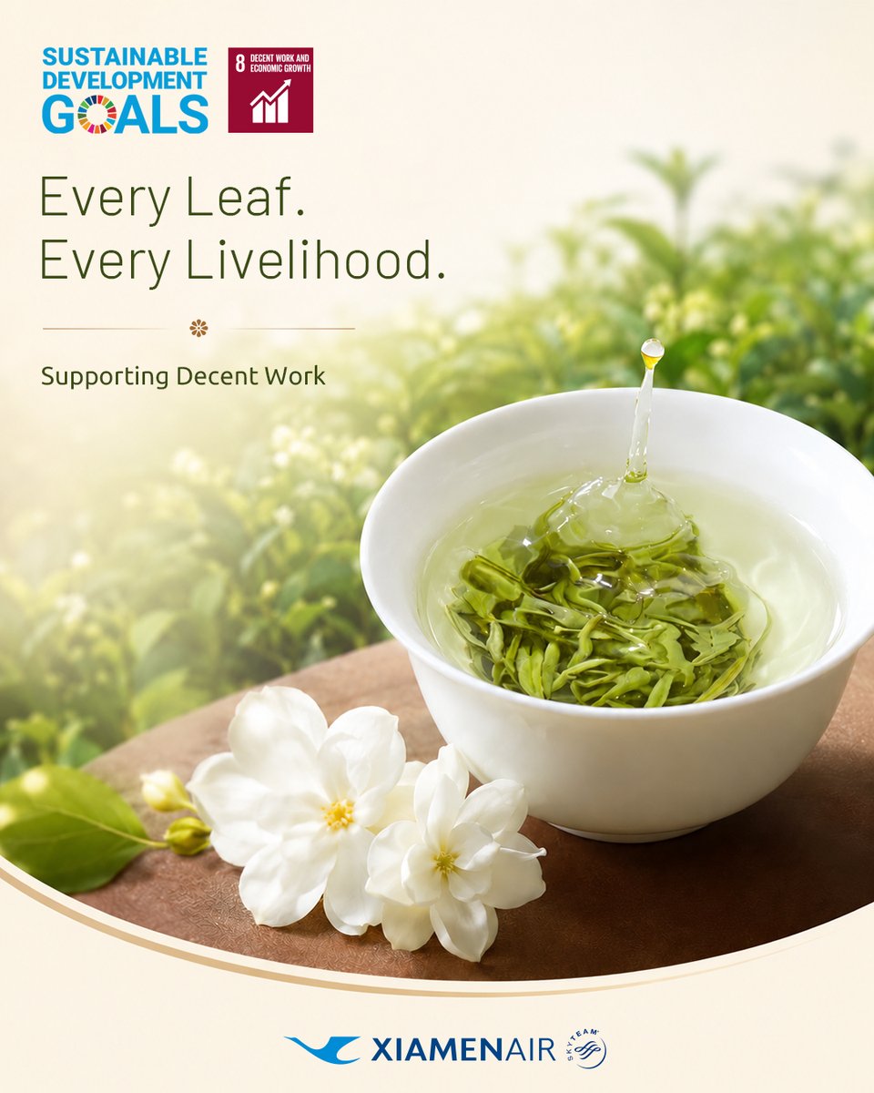 XiamenAirlines's tweet photo. Reward every drop of sweat. ๐จโ๐พ Every leaf of Xiamen Airlines Farm tea embodies a farmer's dedication. We drive SDG 8 Decent Work and Economic Growth with fair pay, ensuring labor is honored. Cheers to craftsmanship! ๐๐ต
#XiamenAirlines #SDG8 #DecentWork https://t.co/p0yVAvp59w