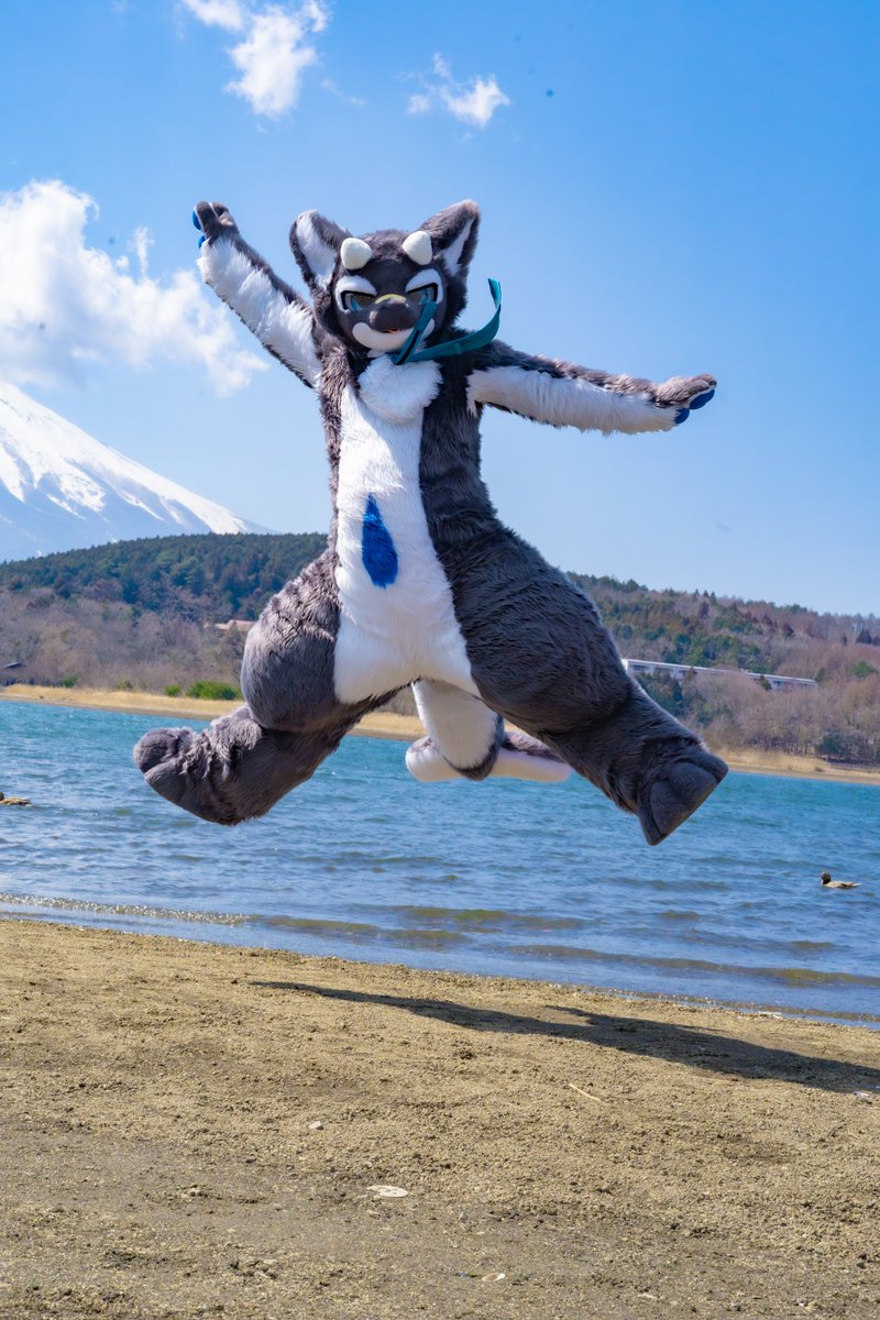 or_kemo's tweet photo. 今日はシャチの日！🫍 https://t.co/tH878xplRP