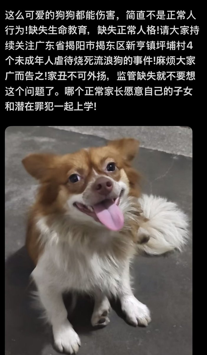 eAnKt8fTsTThYG3's tweet photo. #JusticeForWangWang https://t.co/xhYe0UkjAb