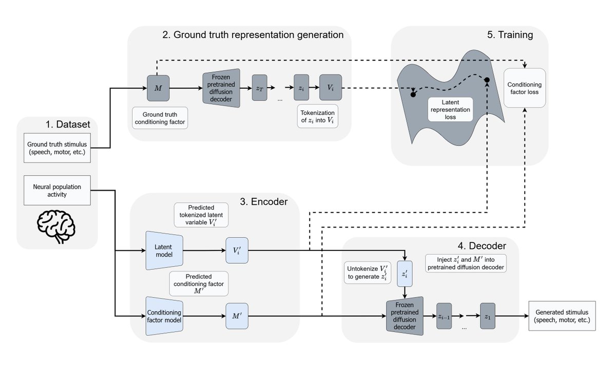 DrLaschowski's tweet photo. New paper: We introduce a framework for studying how intermediate representation choice affects downstream learning and reconstruction, with an initial demonstration in neural speech decoding using diffusion latents. 

https://t.co/xRwBuGuv7a @Comp_NeuroLab @UofT https://t.co/OrWvVjOjRf