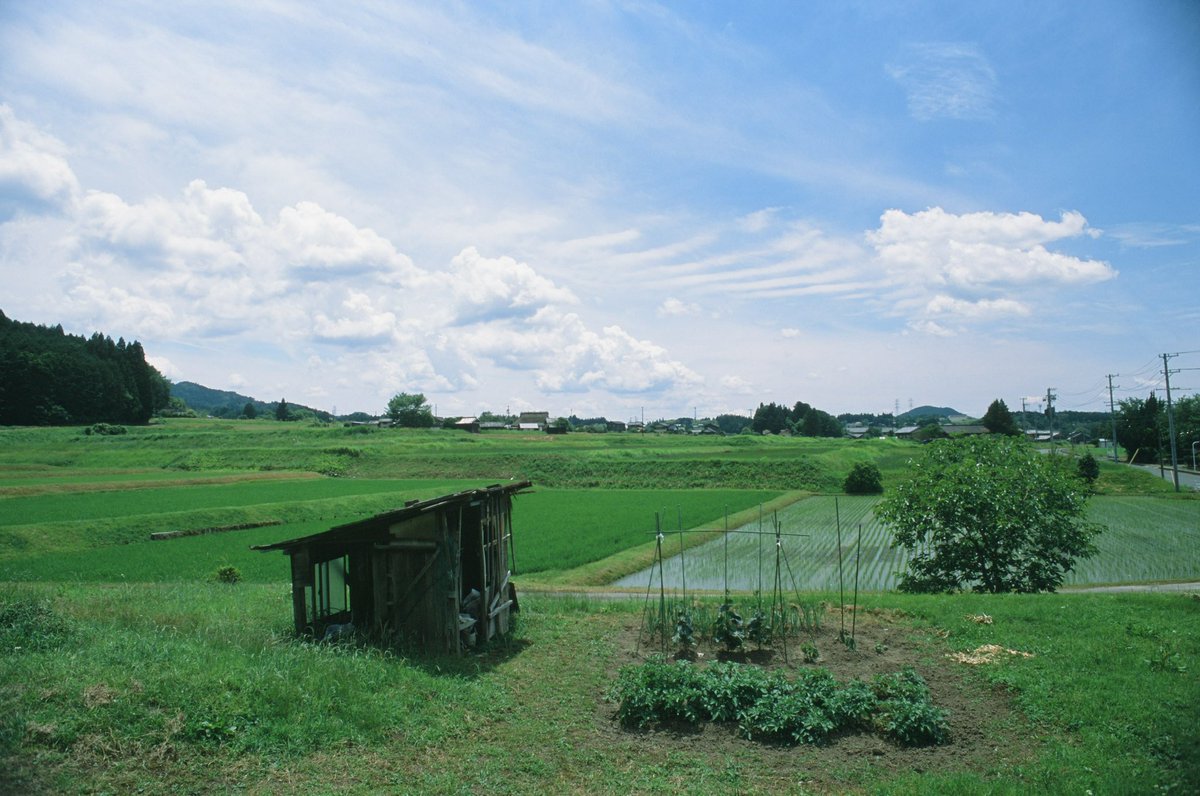 tsuneshichi's tweet photo. また増えた

Nikon F2 フォトミックA
ai-s nikkor 24mm f2.8

ちゃんと違うフィルム
次はHarman PhotoのPhoenixⅡか

#Nikon #F2 #NIKKOR #provia100f
#ポジフィルム #フィルムカメラ 
#オールドカメラ #オールドレンズ #filmphotography #キリトリセカイ
#ファインダー越しの私の世界 https://t.co/GP5f4OrlbJ