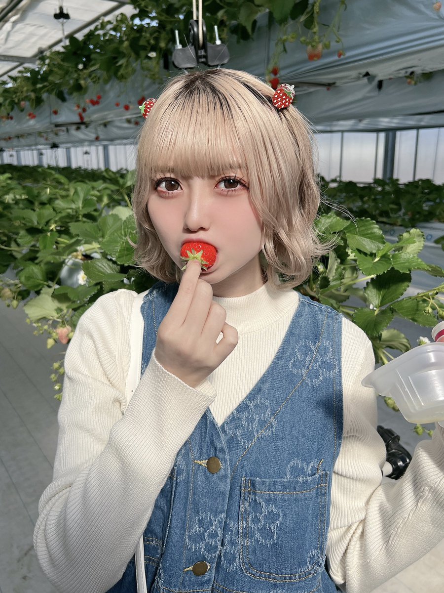 ksoccer08042's tweet photo. いちご狩った🍓 https://t.co/iKBMZ6NZJM