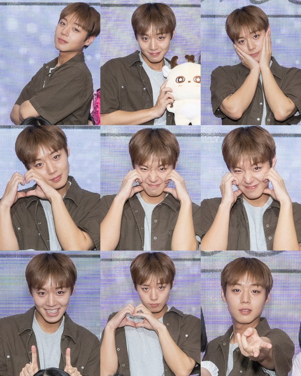 𑣲🐶˚.⋆🦴 ᵎᵎ tweet media