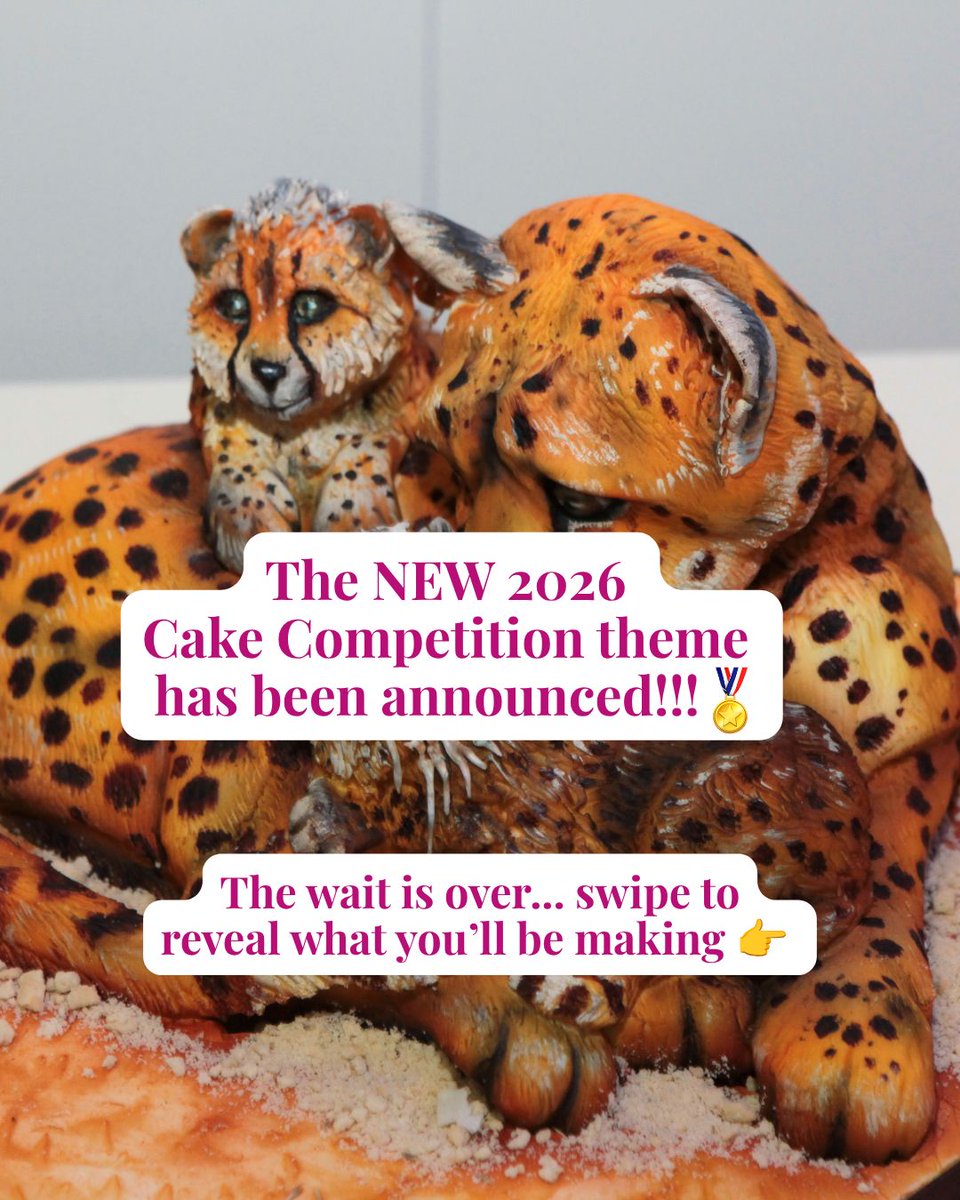 CakeandBakeShow's tweet photo. Okay... this might be our favourite theme yet!! 🍃🦋🐅

🥇🍰The 2026 is NOW OPEN FOR ENTRIES! 🍰🥇Open for ALL bakers. 

Tap the link for full comp details, judging criteria and to ENTER!! 🔗 Prizes to be announced soon... 🎁 https://t.co/7CFEc8MKCB 

#CakeandBakeShow26 https://t.co/JvvQLTPC0I