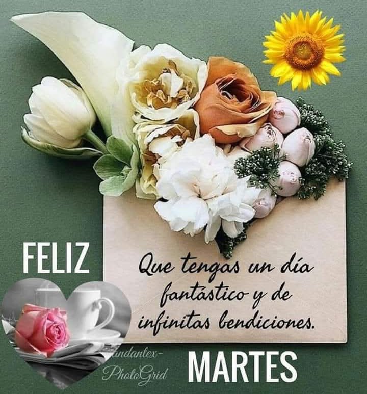 FabianTeti's tweet photo. Feiz martes para todos https://t.co/RQjUmo50I6
