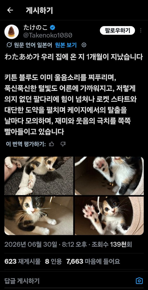 nyaroo_cat's tweet photo. 원트 미디어 꼭 가보시길 https://t.co/r9Vaq7rVNY