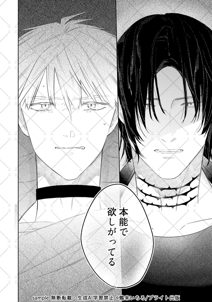 ◤◢◤B.Pilz vol.72 作品紹介◢◤◢ 「吸血鬼はΩに笑う act.7」 著者