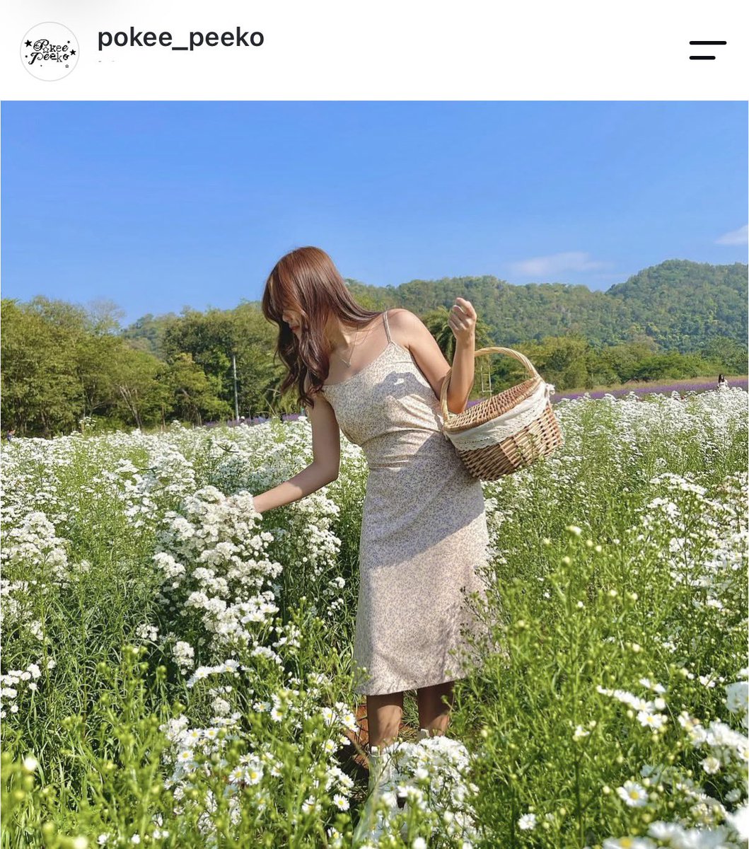 gooddayvvithme's tweet photo. ปล่อยต่อเดรส #pokeepeeko 🌼⋆·˚ ༘ *  
⌗น่ารักมากก ใส่ครั้งเดียว  200 รวมส่ง 
สนใจดูเพิ่มเติม dm เลยค่า

#ส่งต่อเสื้อผ้า #ส่งต่อเสื้อผ้ามือสอง #โล๊ะตู้เสื้อผ้า #cintageshop #ส่งต่อcintageshop #ส่งต่อเสื้อผ้ามือ2 #stylist_shop #เสื้อผ้ามือ2 https://t.co/JmwidSzcvj