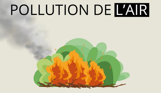 Image de Préfet Centre-Val de Loire et Loiret - L'incendie de la forêt de Fontainebleau génère des particules en suspension dans l'air.
➡️limitez l
