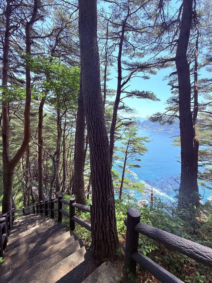 WazawaMon's tweet photo. お久しぶりです。
配信もせず、青森から今山形県…
さあ！明日から！（写真:岩手県） https://t.co/73Xc3RXKSZ