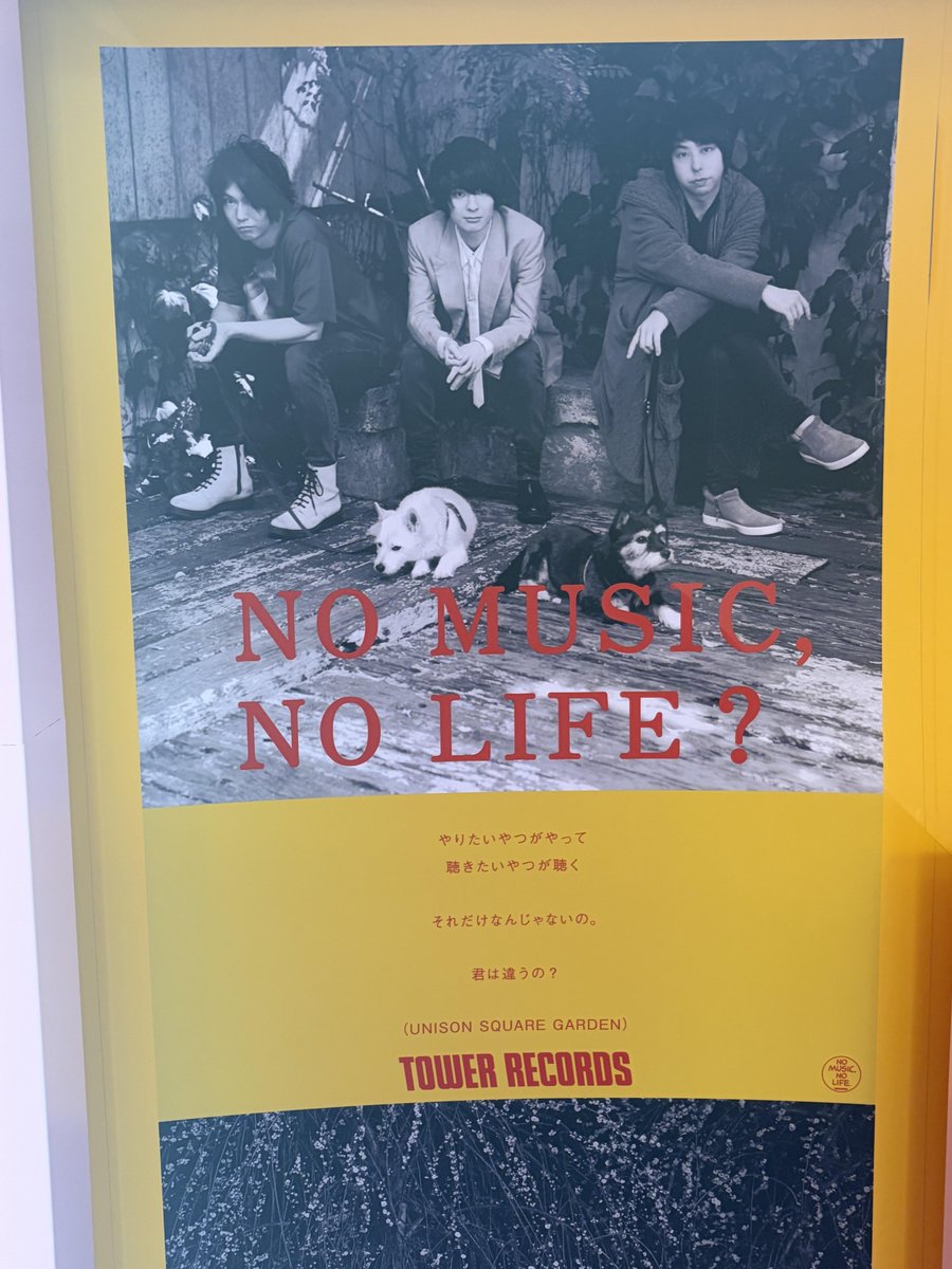 UNISONSQUAREGARDEN】 ついに当日、、🥹 ╋━━ UNISON SQUARE GARDEN