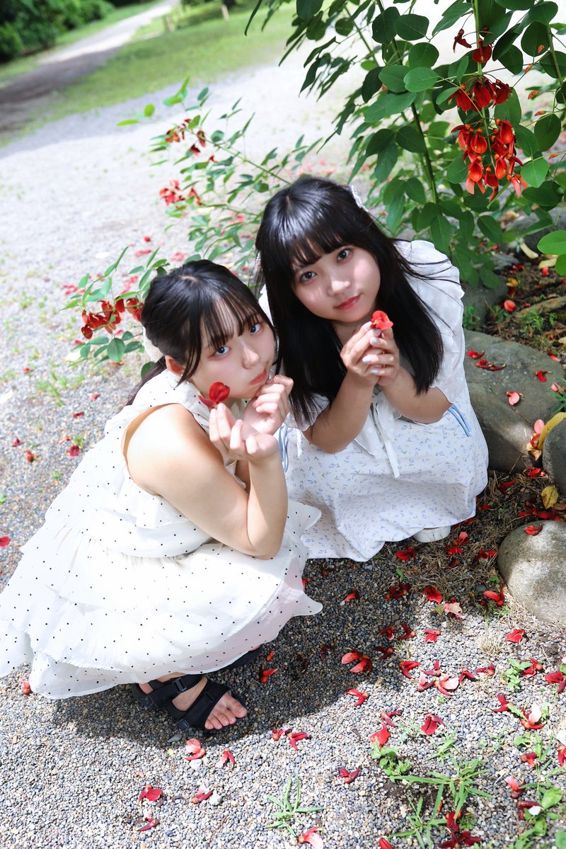 アメリカデイゴの花❤️