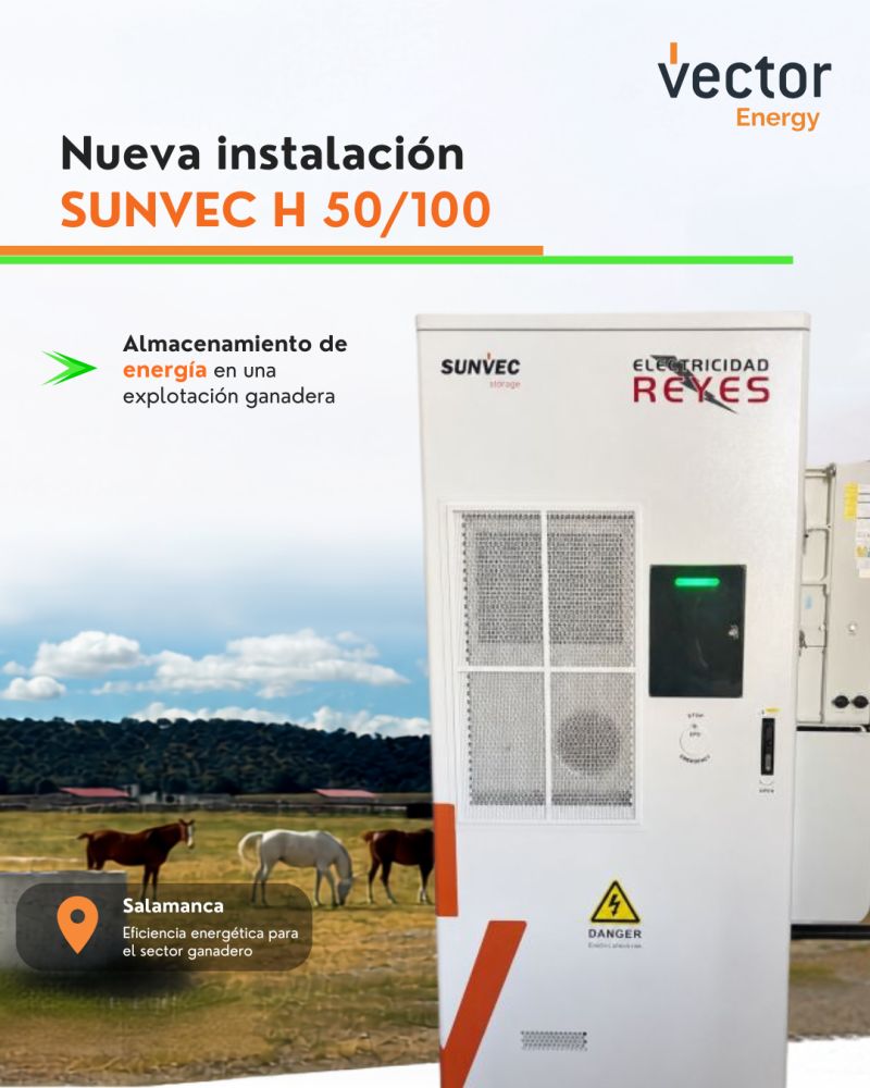 Vector_Energy tweet media