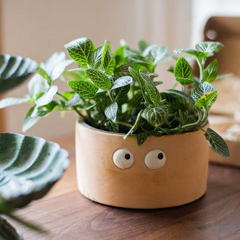 k26737503's tweet photo. Just finished this tiny polymer clay succulent pot – so happy how it turned out! Handmade joys hit different  #HandmadeCrafter， https://t.co/iPu8iRuhIq