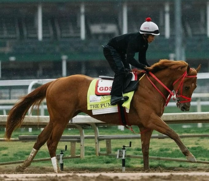 blindadosalas1's tweet photo. #Hipismo ¡CONFIRMADO! De acuerdo a @GacetaHipica LUIS SÁEZ 🇵🇦 será el nuevo jockey de THE PUMA 🇺🇸 en el #HaskellStakes (Gr.1) en lugar de JAVIER CASTELLANO 🇻🇪 que está cumpliendo reposo médico. Mañana es el #Draw para la carrera del 18/07 en #MonmouthPark
Foto: @KentuckyDerby https://t.co/CNTEQ2PRdS