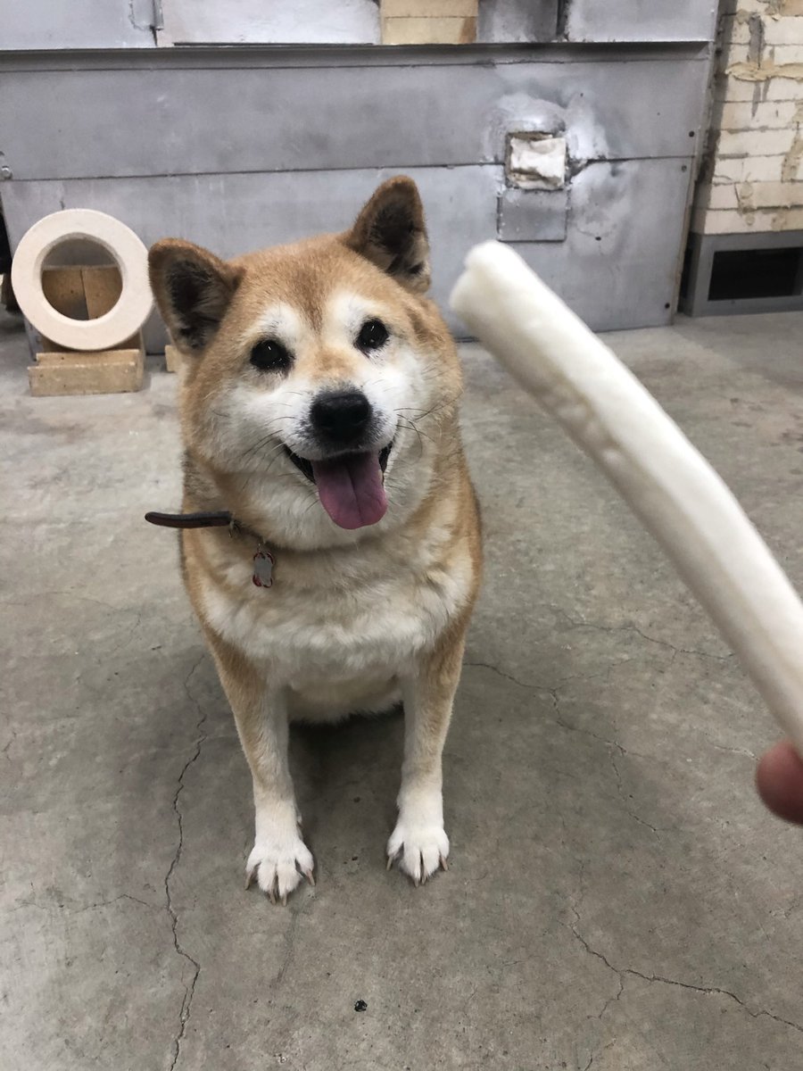 muco_vetro's tweet photo. ガムすき！ https://t.co/MVDD7FgQD3