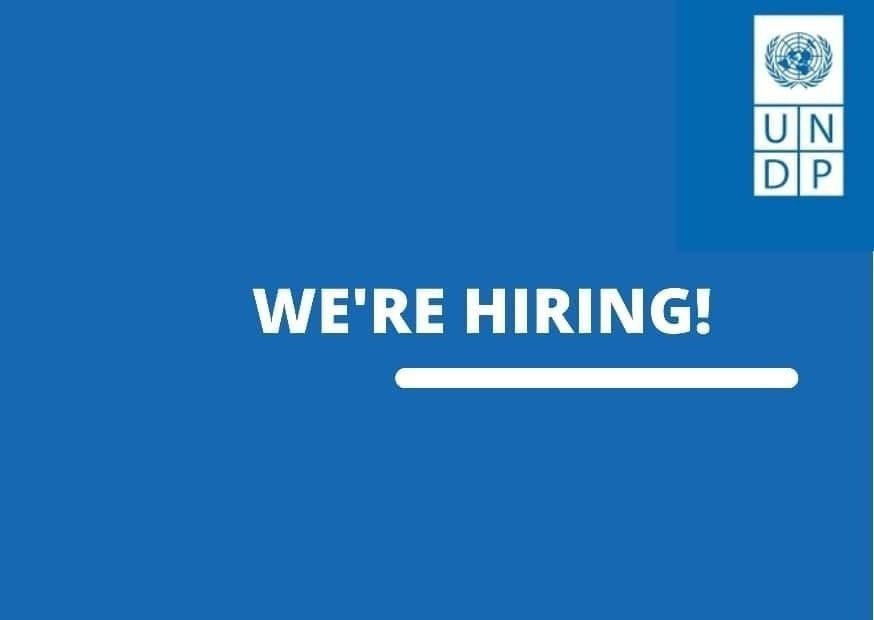 UNDPGhana's tweet photo. 📢 CONSULTANCY OPPORTUNITY

@UNDPGhana is seeking a consultant to conduct #MSME Capacity Assessments, Market Readiness Diagnostics & Business Development Support in Ghana's critical minerals sector.

🗓️ Deadline: 24 July 2026
🔗 Apply: https://t.co/JYNjrewJL0 

#Jobs #Consultancy