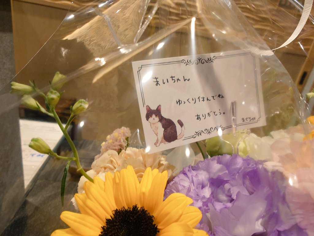 AZUMANOOK's tweet photo. まいちゃんにお花や、お土産もたくさんいただいてありがとうございます🙏 https://t.co/cWP8IkRfed