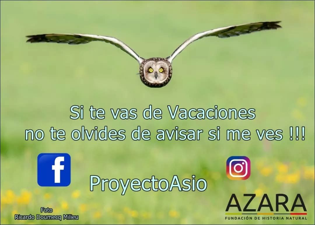 alejandromorici's tweet photo. #ProyectoAsio https://t.co/gDVdAnFJXz