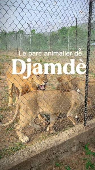Lamboni_Joseph's tweet photo. Vous venez au #Togo pour Evala ? Ne repartez pas sans découvrir les trésors de #Kara.
Evala vous amène au Togo. Kara vous fait rester.
Au-delà d’#Evala, la région regorge de merveilles à explorer.
Evala, c’est le début, Kara, c’est l’expérience complète.
#tgtwitos https://t.co/KM6NvuCS7z