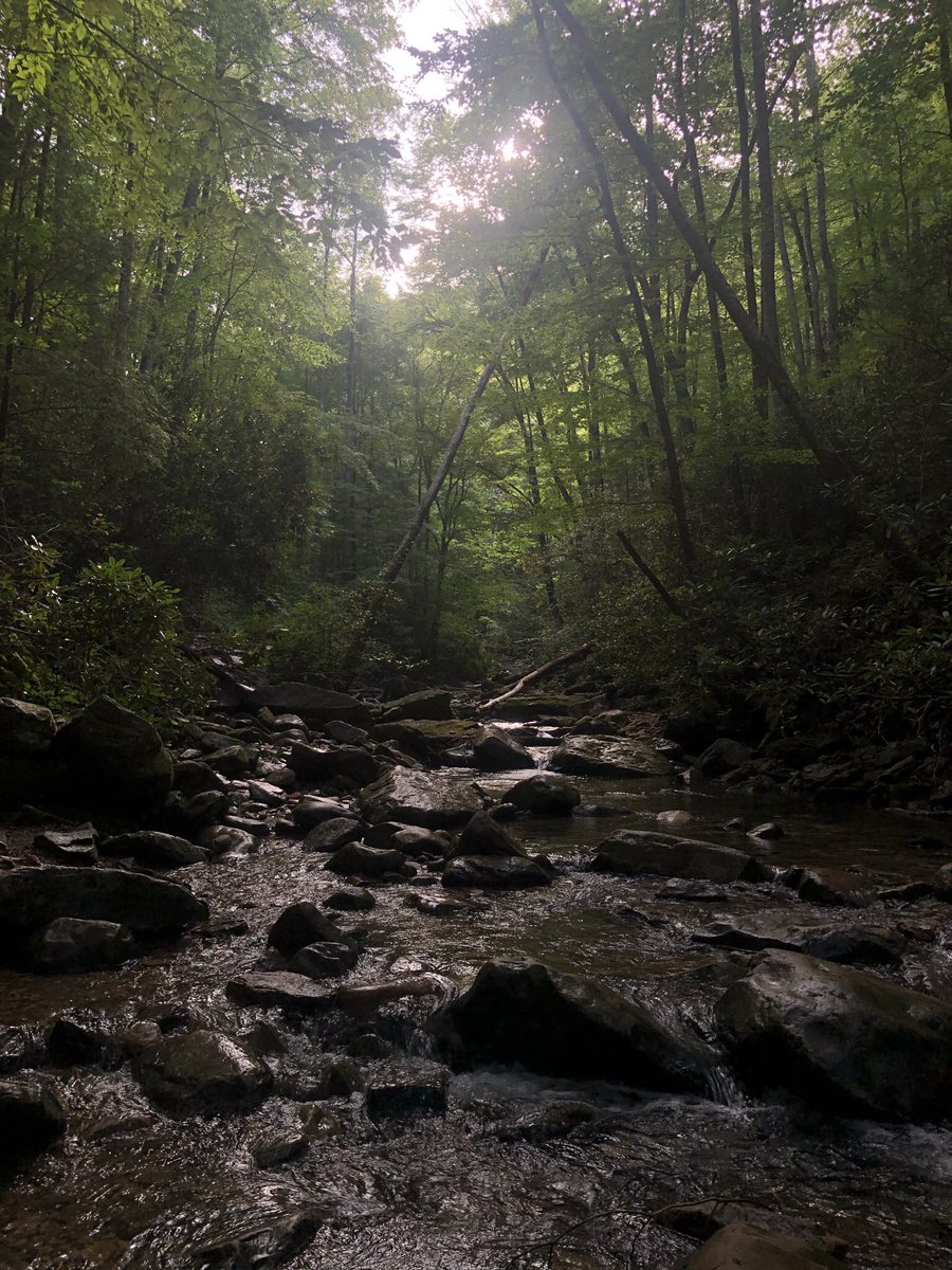therumhammer's tweet photo. One of the best swimming holes in Virginia. https://t.co/wJ9TOZt2u8
