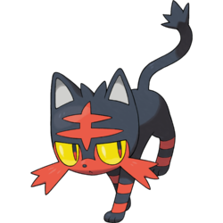 arkclaimer's tweet photo. Do you like Litten https://t.co/MqVUmeoGTD