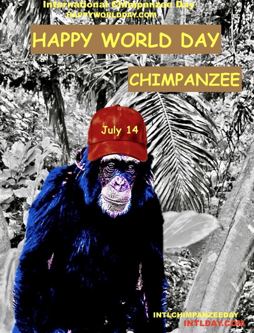 IntlDay's tweet photo. July 14
Happy World Chimpanzee Day
Chimpanzee's are considered endangered
#Chimpanzee #wildlife #worldchimpanzeeday https://t.co/ShkpiRIrBN