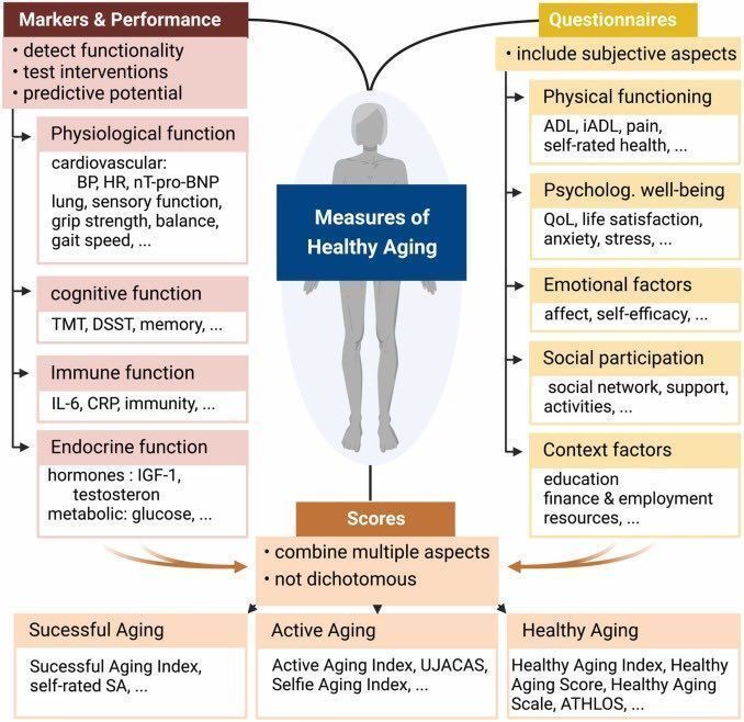 MoAImam's tweet photo. 60 years of healthy ageing👉🏼definitions, biomarkers, scores and challenges

Measures of healthy ageing👇🏼

#ageing #health 

https://t.co/JcfzkMI5jm… https://t.co/HGAjWdK0se