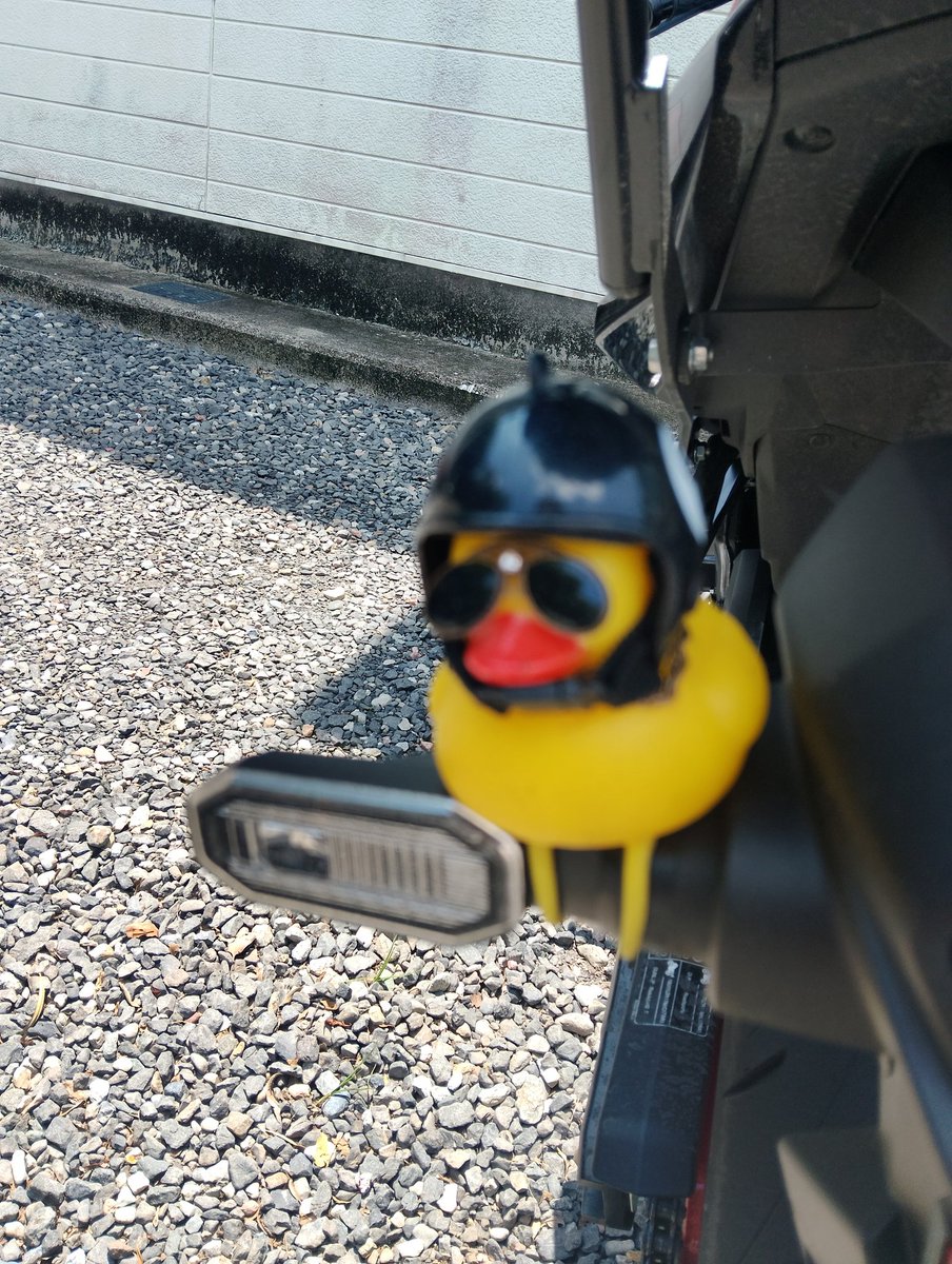 あひるさん専用ページ 本日はありがとうございます 恒例のバイク激写🏍️ アヒル！グラサン