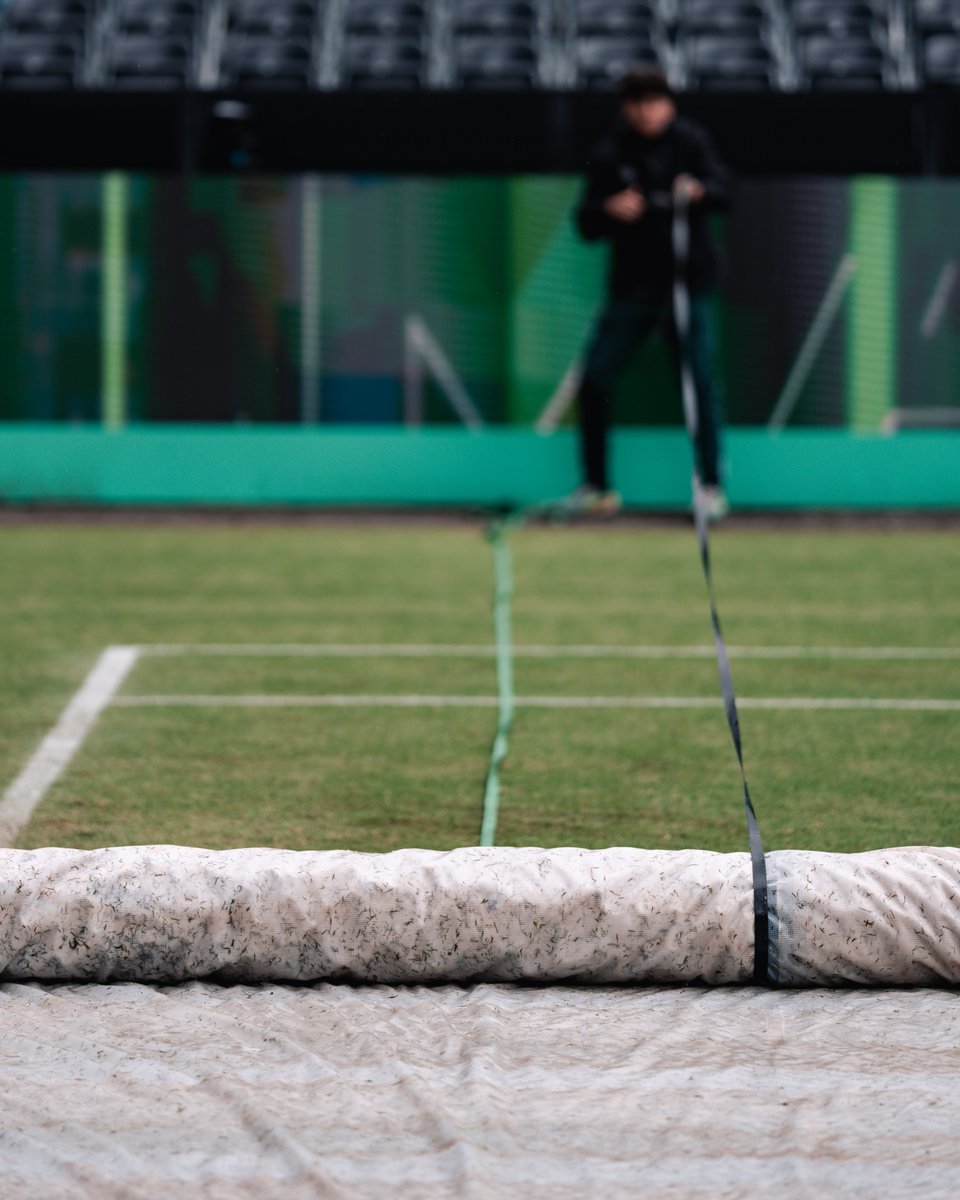 LibemaOpen's tweet photo. That’s a wrap on the grass-court season. 🌱
See you next year!💚

#libemaopen #atp #wta #tennis https://t.co/5vHTm4xKmX