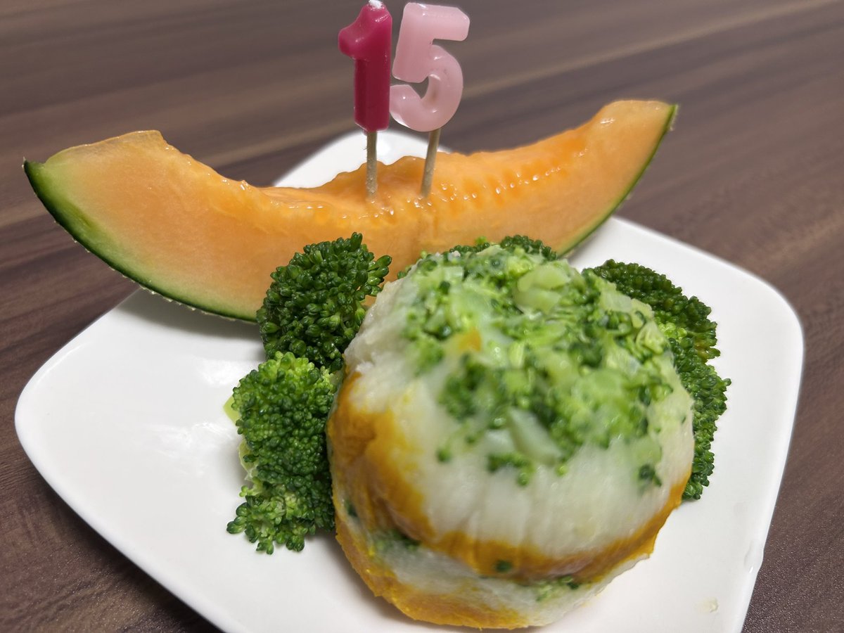 skydog_ms's tweet photo. Silva 15歳の誕生日おめでとう🎉

おシルばぁちゃんになっても食欲旺盛
元気いっぱいだよ
今朝の散歩も楽しそうに走ってました
これからもSilvaのペースでのんびり
楽しく過ごしていこうね https://t.co/FmG6wssZf8