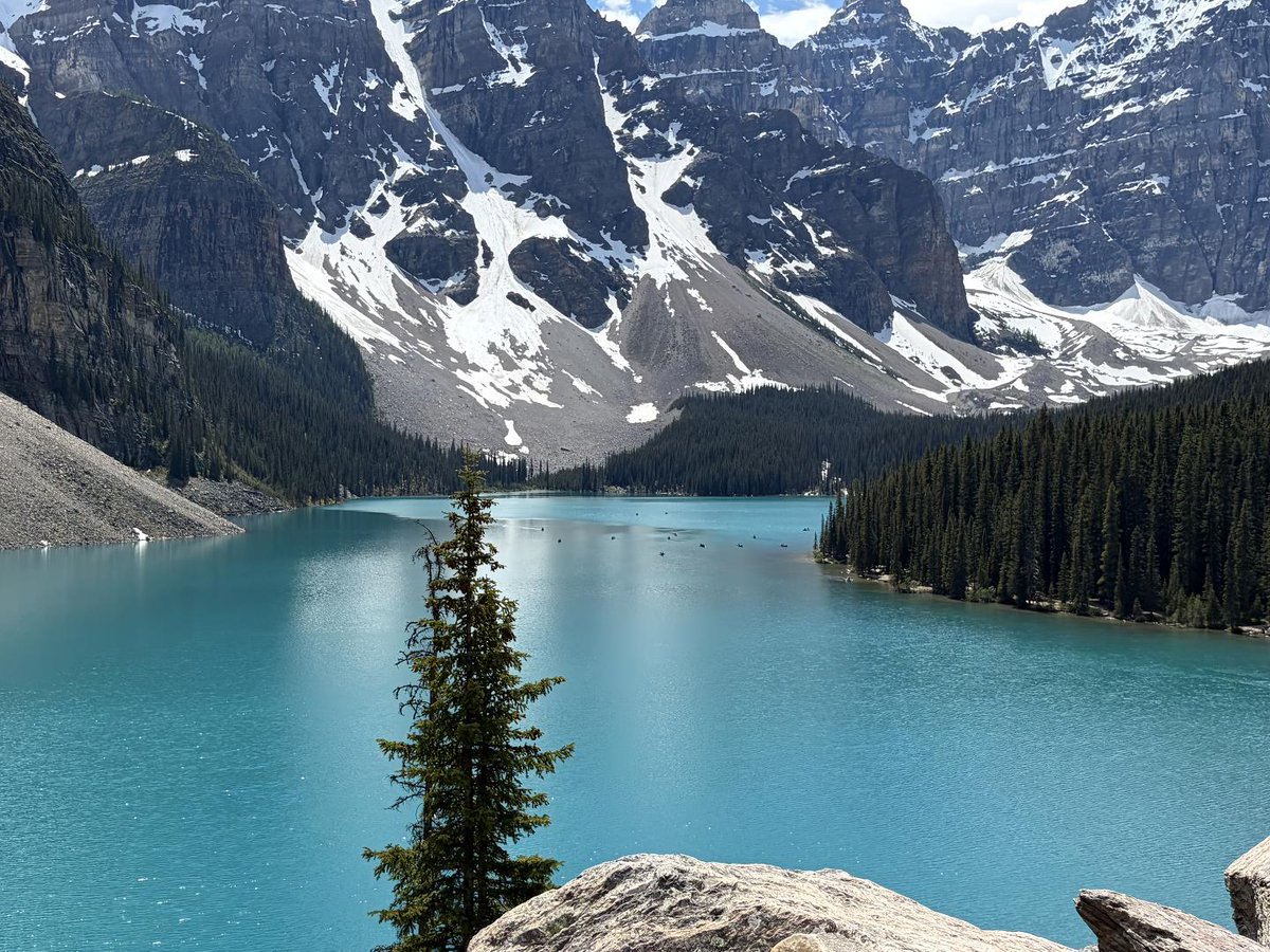 Eleven_Eight_'s tweet photo. Moraine Lake Rockpile Trail https://t.co/8ufpgSqeUc