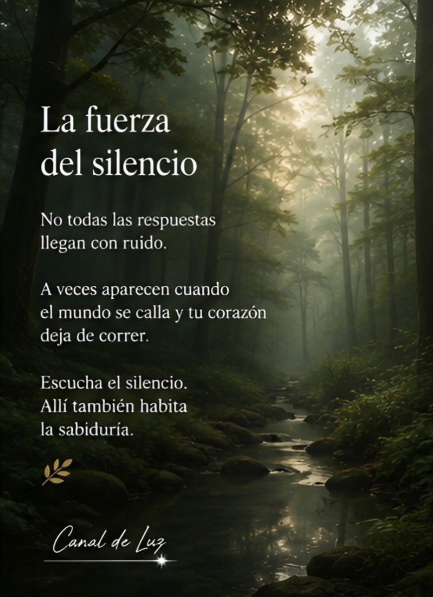 ReikiCanalDeLuz's tweet photo. Martes 🌿
La fuerza del silencio

No todas las respuestas llegan con ruido.

A veces aparecen cuando el mundo se calla y tu corazón deja de correr.

Escucha el silencio. Allí también habita la sabiduría.

🍃 https://t.co/LqiF0pOYrI