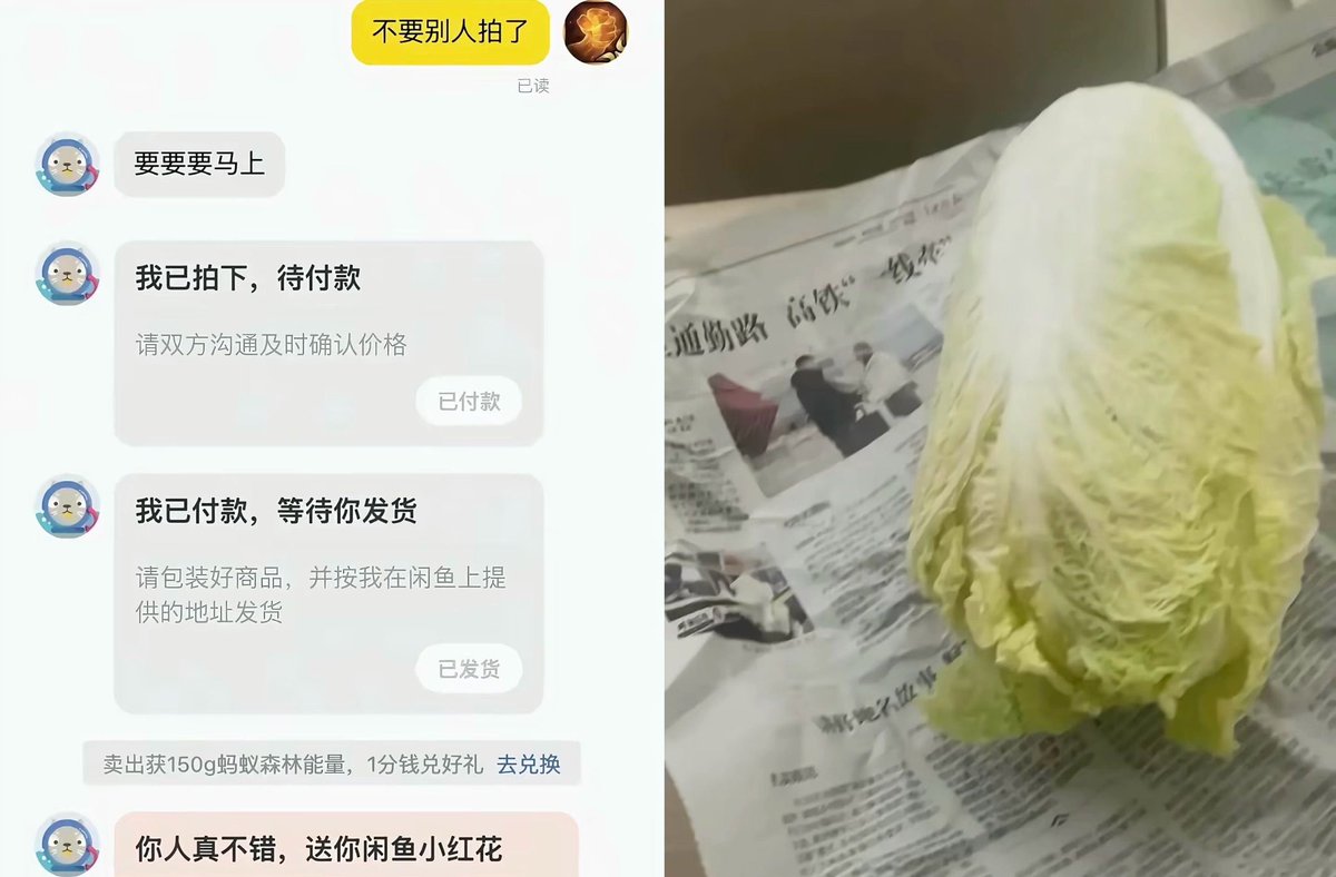 dollar_kkk's tweet photo. 暗网的“正义小法庭”！

《你人真不错，送你闲鱼小红花》

《买家自己夜承认是白菜》 https://t.co/Md85SLQDXr