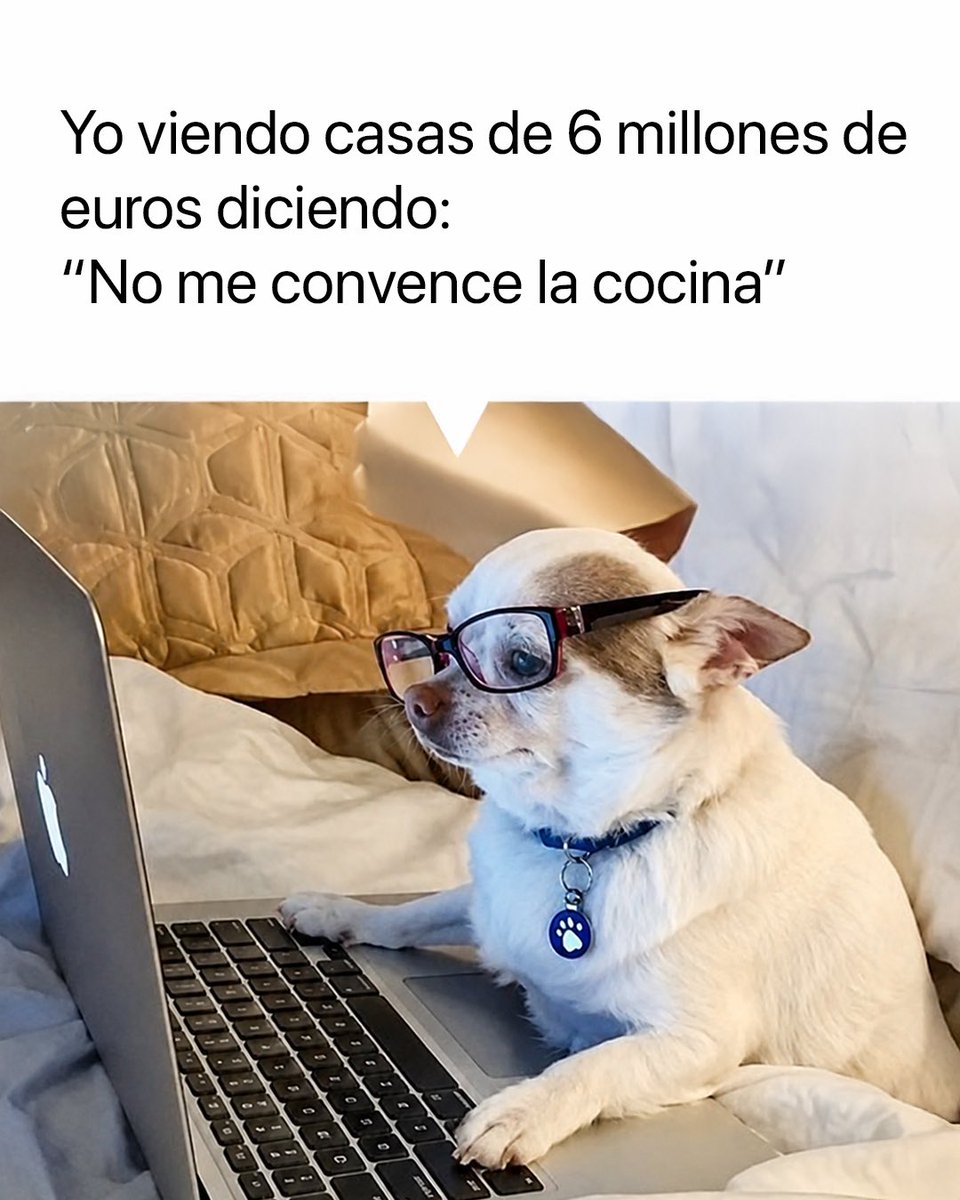 Cabronazi's tweet photo. https://t.co/zU4S8wFS4W