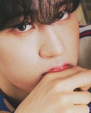 자두 tweet media