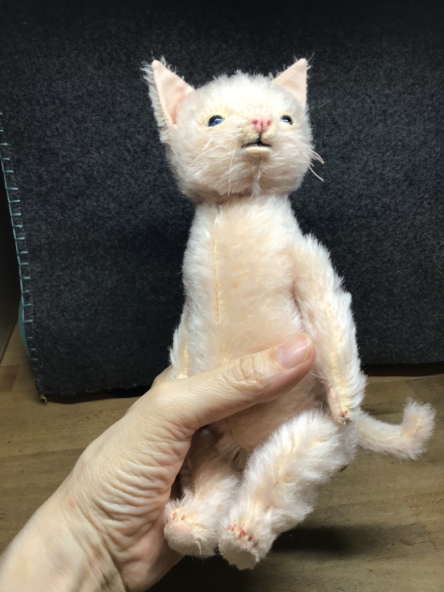 whimbear's tweet photo. くしゃみ3秒前 https://t.co/a6hhnOvVFJ