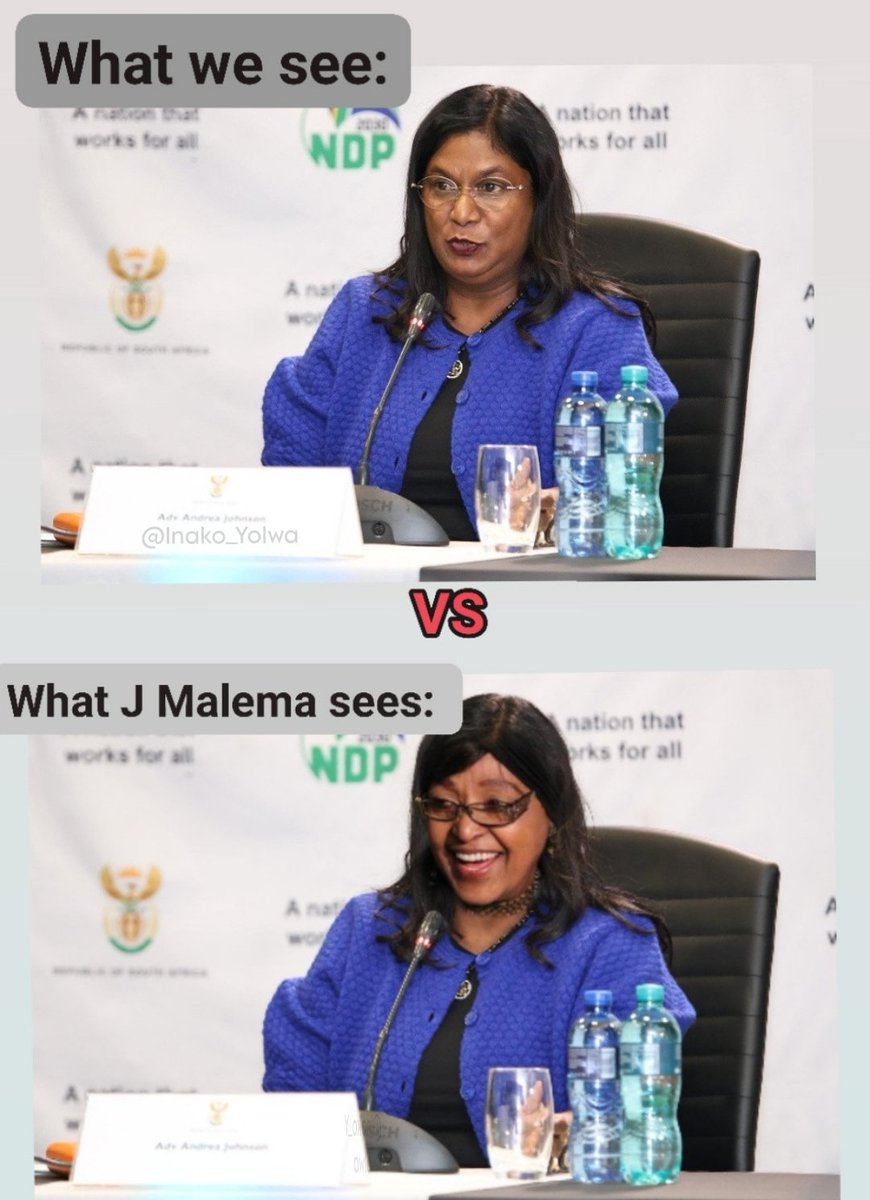 Inako_Yolwa01's tweet photo. What we see VS what Julius Malema sees
#MadlangaCommision #andrejohnson
#winniemandela
#IDAC https://t.co/vyksTAK4tH