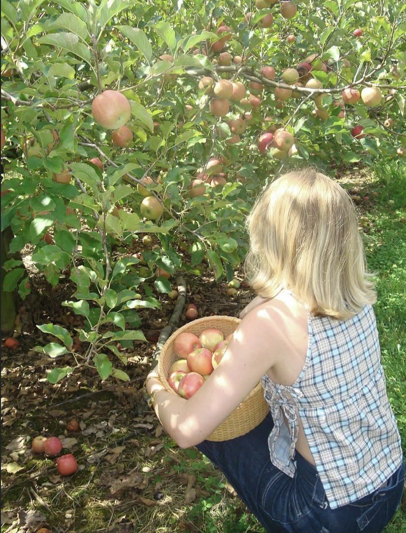 altheadiggory's tweet photo. how you like them apples? (i cut my hair and went to an apple orchard) 😊🌟🍎💭💇‍♀️🌞🌿 https://t.co/JbINQeOoR7