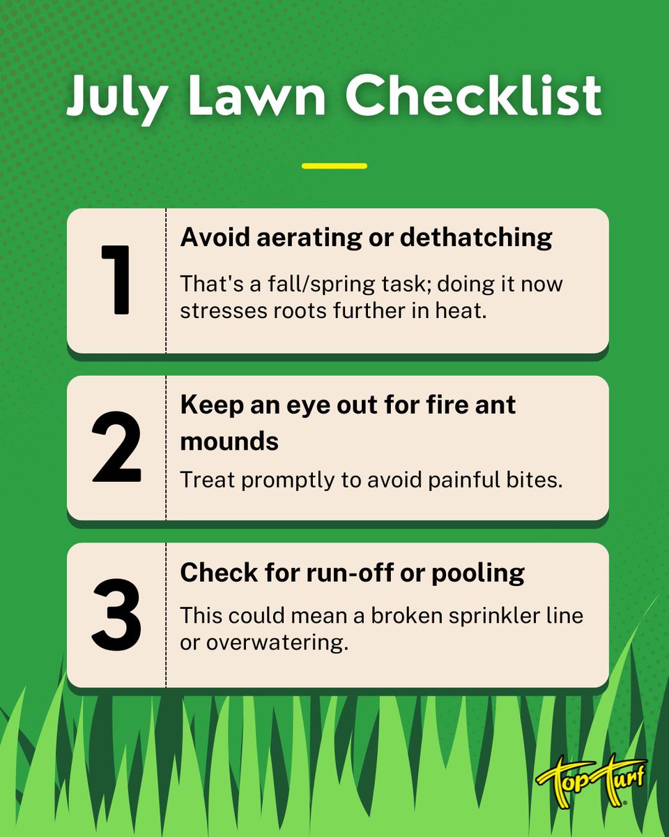 TopTurf's tweet photo. Your lawn in July needs less "doing" and more "watching." 👀 Skip the aeration, keep an eye out for fire ants, and check for sprinkler leaks or pooling water. Small moves, big payoff. 🌱 
#TopTurf #LawnCareTips https://t.co/CiDDuEP3kv