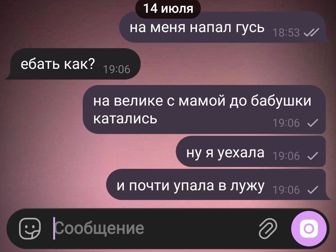 HEEANGELBABY's tweet photo. рандомный вторник в деревне https://t.co/uByta8DltI
