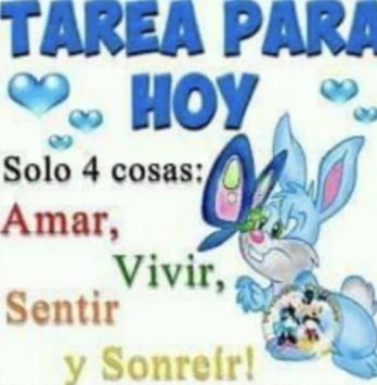 pincheAyax's tweet photo. Se estaba quejando el Uber que unos conocidos suyos pusieron Airbnbs y que como no se rentaban los tuvieron que poner en renta a locales a un precio más barato. Le dije que qué bueno, que hasta gusto me da, y terminamos peleados. Excelente martes, grupo! https://t.co/kmzUqTbYxx