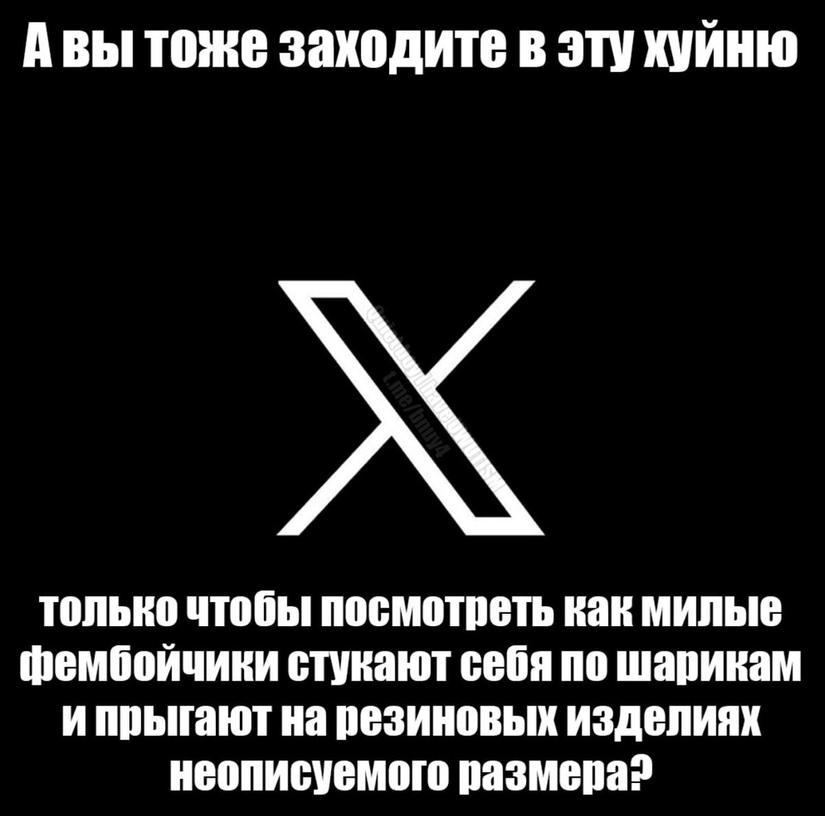 HelMias tweet media