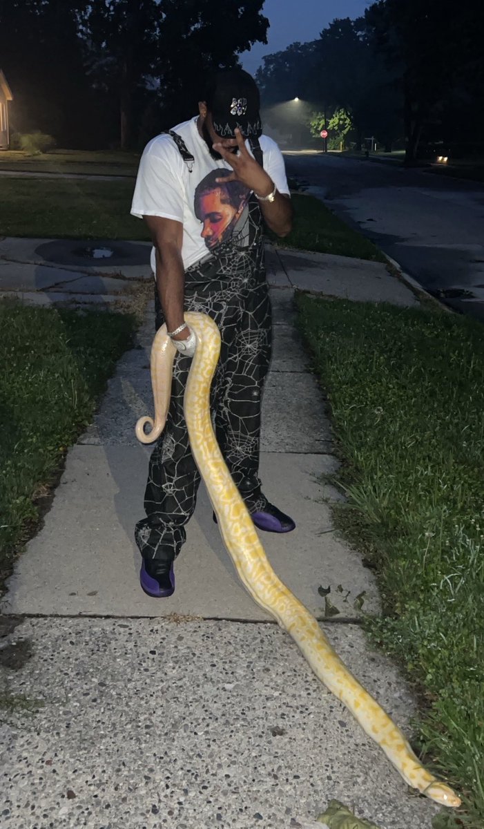 SNAKE-MAN⁶𓅓WARREN tweet media