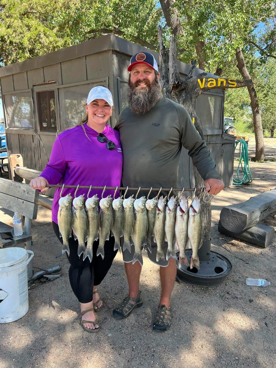 ILoveLakeMac's tweet photo. Another nice stringer from Lake Mac! 📷: thanks to John Boy Guide Service
The walleye bite is beginning to slow down but they are still being caught in 14-20 foot of water near Lemoyne and Ogallala Beach. Live bait has generally been successful. https://t.co/dVeJVOoXVi