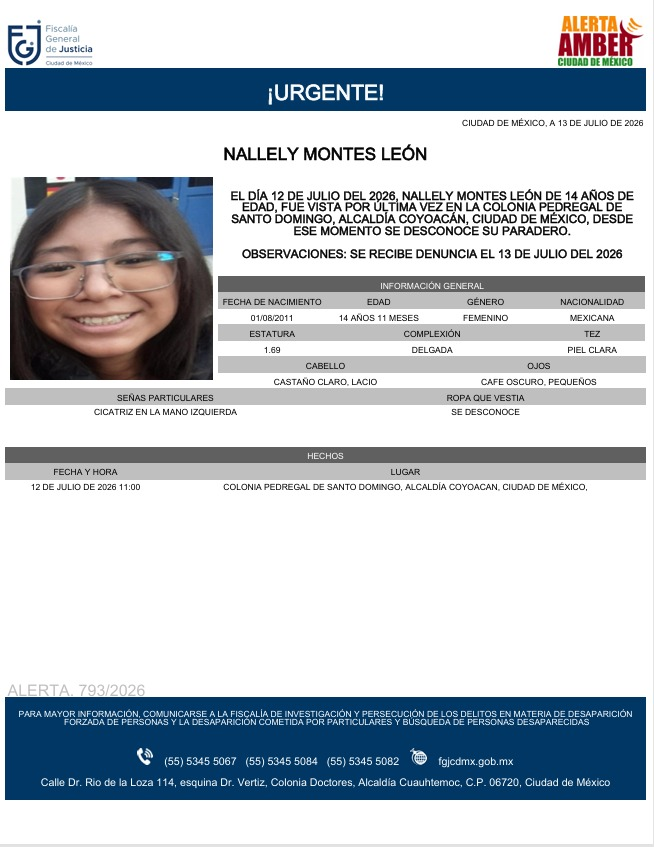 AztecaNoticias's tweet photo. Se activa la #AlertaAMBER por la desaparición de Nallely Montes de León, vista por última vez el 13 de julio en la colonia Pedregal de Santo Domingo, alcaldía Coyoacán.

Si tienes información que ayude a dar con su paradero, no dudes en acudir a las autoridades.

https://t.co/2yyiq2k764